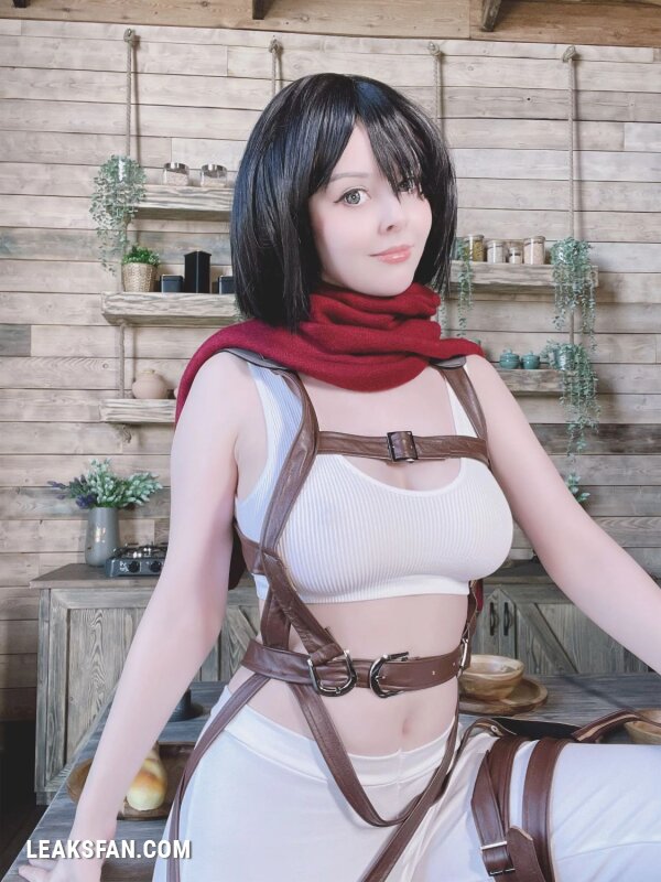 Helly Valentine - Mikasa Ackerman (Shingeki No Kyojin) - 30